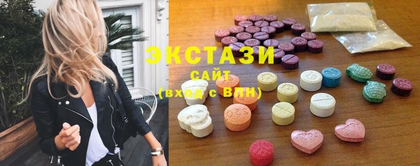 ECSTASY Богданович